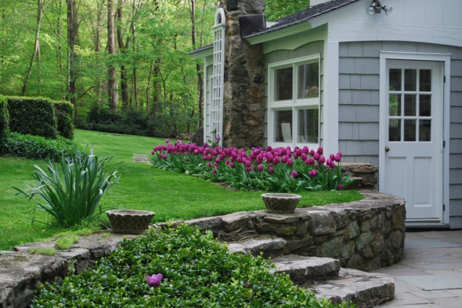 organically landscaped cottage with purple tulips armonk westchester county ny