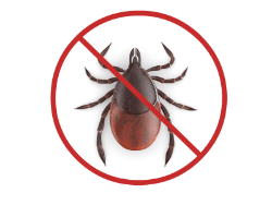 graphic showing "no ticks" for using organic tick control spray westchester ny