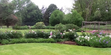 organic grounds with organic flower bed and trees new canaan ct