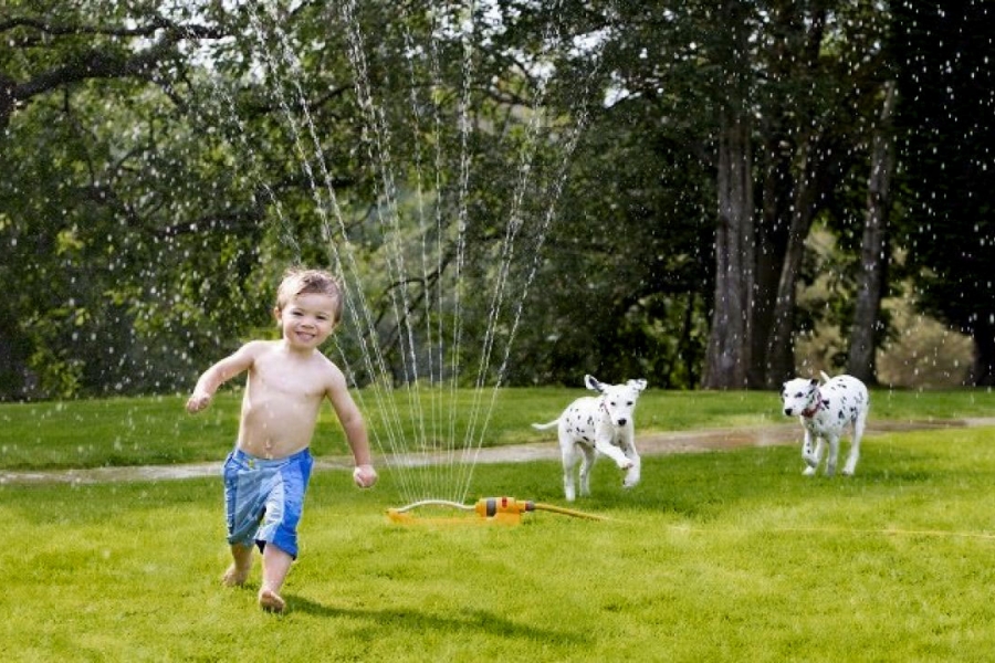 boy and puppy playing on organic lawn in sprinkler organic landscapes ny westchester county ny fairfield county ct